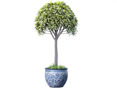 Decorative tall tree in a Chinese porcelain vase pot 3D model