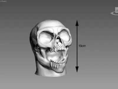 Scream Skull Headphone Stand Cyborg Headset Stand 3D print model