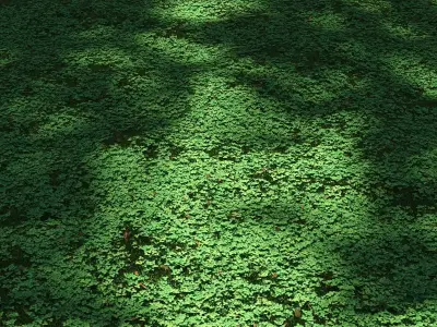 Clover lawn 3D model