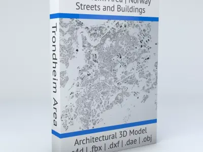 Trondheim Area Streets and Buildings 3D model