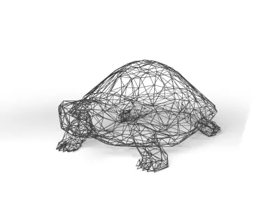 Turtle Wireframe Low-poly 3D model