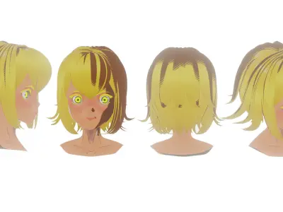 Hair Pack 10 Models  Low-poly 3D model