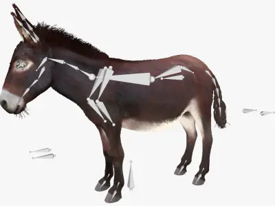  Walking Domestic Donkey Fur Animated Rigged for Blender 
