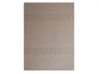 Salar Wool Rug 3D model