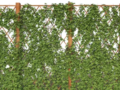 Ivy fence 3D model
