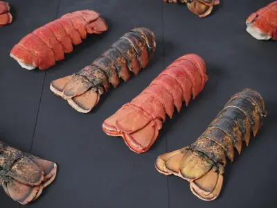 Atlantic Lobster Tails 8 Models