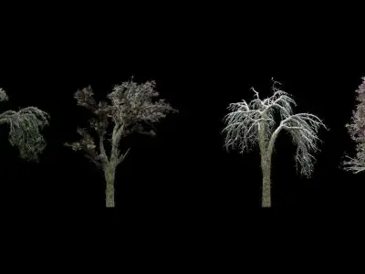 Low Poly Trees Scatter 3D model