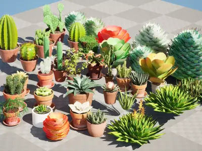 Potted Cactus and Succulent 3D Collection Low-poly 3D model