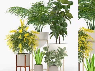 Plants  Free low-poly 3D model
