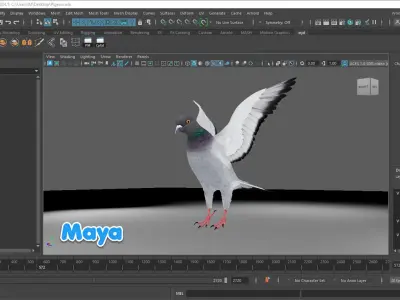  Realistic Animated Rock Pigeon Low-poly 