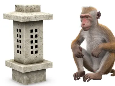  Brown Macaque Sitting on Stone Lantern Fur for Cinema 4D 
