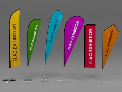 6 Flag Exhibition 3D model
