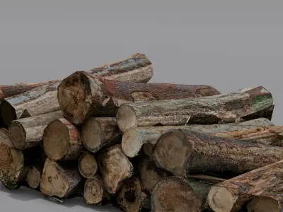 Wood 3D Model Low-poly 3D model