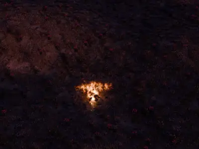 Field on fire 3D model