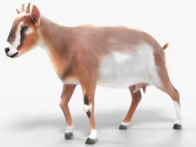  Dairy Goat Fur Rigged for Blender 