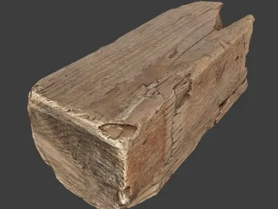 Wood Timber Debris Low-poly 3D model