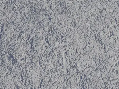 Autumn Forest Mulch Ground Texture