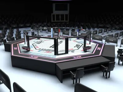  Arena Fighting MMA - 3D Model 