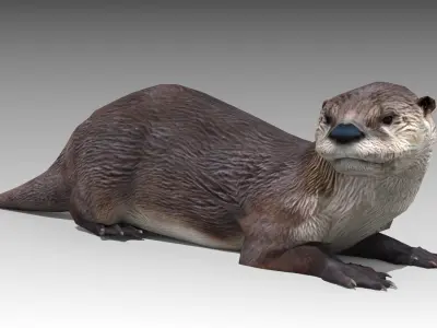  Otter 