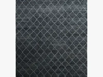 Restoration Hardware Rugs 134 3D model