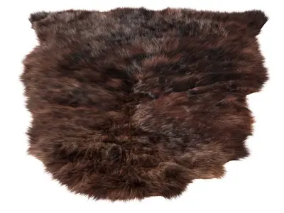 Animal skin rug 04 3D model