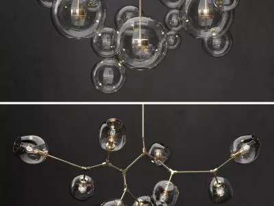 Branching bubble and G and C Bolle 3D model