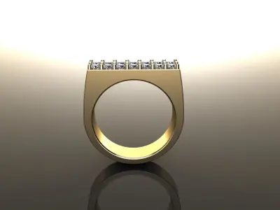 Double Row Diamond Narrow Bar Ring Band Mix Sizes 3D print model