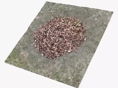 Leaves on the ground 3d scan 3D model