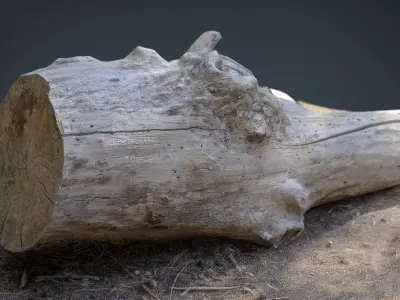 Dead trunk 4 Low-poly 3D model