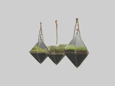 Hanging Terrariums Low-poly 3D model