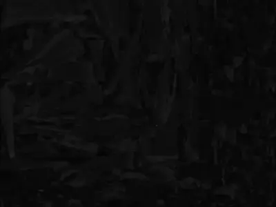 Red and Black Rogue Agent - Stylized Action Character Low-poly 3D model