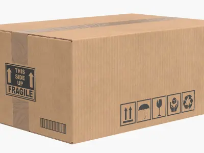  Cardboard Box Closed V1 Collection 