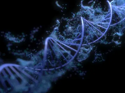 DNA Helix 3D model