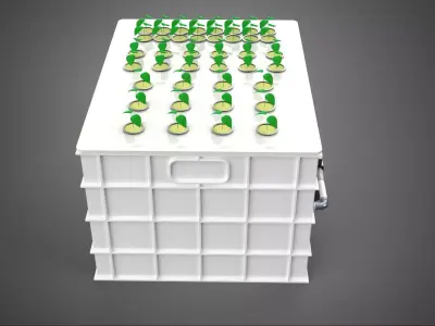 AEROPONIC HYDROPONIC ROCKWOOL PLANTING BOX POD CULTURE SYSTEM UP 3D model