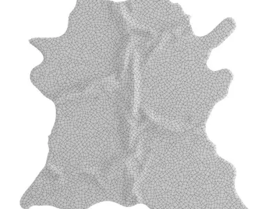 Animal skin rug 13 3D model