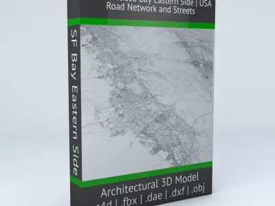 San Francisco Bay Eastern Side Road Network and Streets 3D model