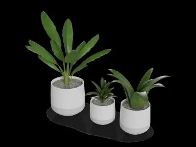 Home decorations Artificial plants 3D model