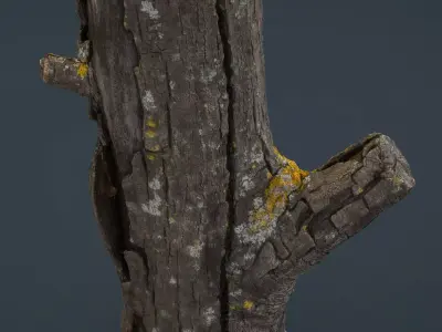 Wood Log 4 Low-poly 3D model