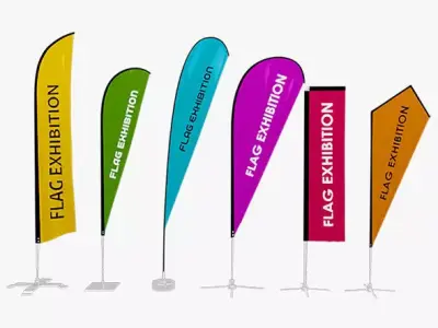 6 Flag Exhibition 3D model