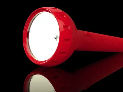 Torch Light and Bottle Free 3D model