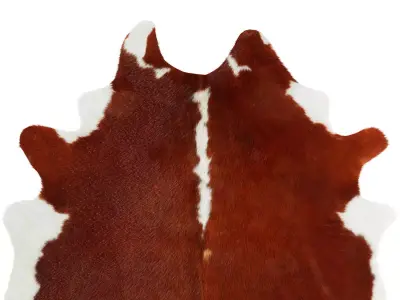 Hereford Cowhide Rug by Hudson Hides 3D model