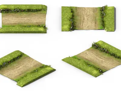Explore mountains - mountain road - the surface 01 3D model