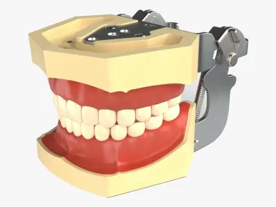  Dental Set 