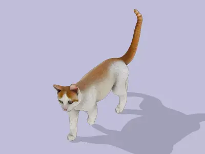 Walking cat Low-poly 3D model