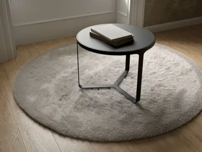 Round Grey Rug 3D model