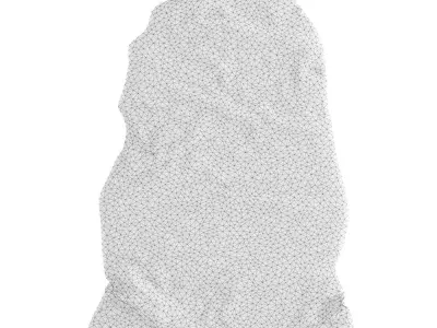 Animal skin rug 04 3D model