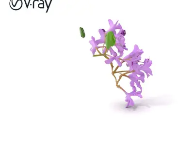 Vibrant Water Hyacinth Plant D model pack Low-poly 3D model