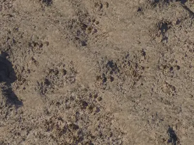 Coarse Pebbly Dirt Ground PBR Texture  Texture