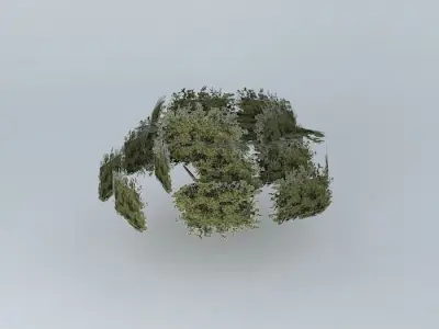 Great street minas tree Free 3D model