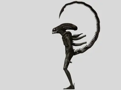 Xenomorph Alien Warrior 3D model
